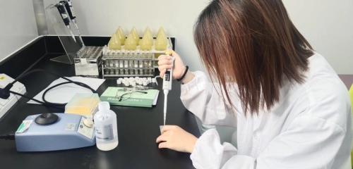 环科
