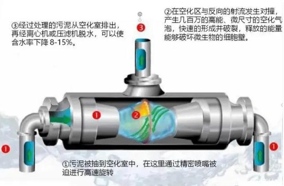 图片5.webp